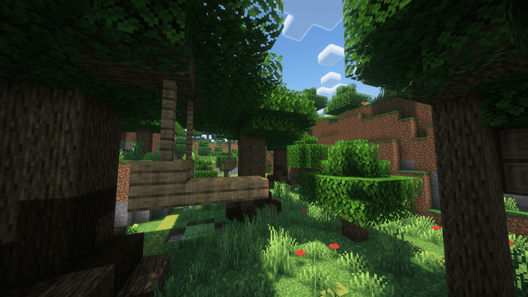 Border Line 2 - Minecraft Map