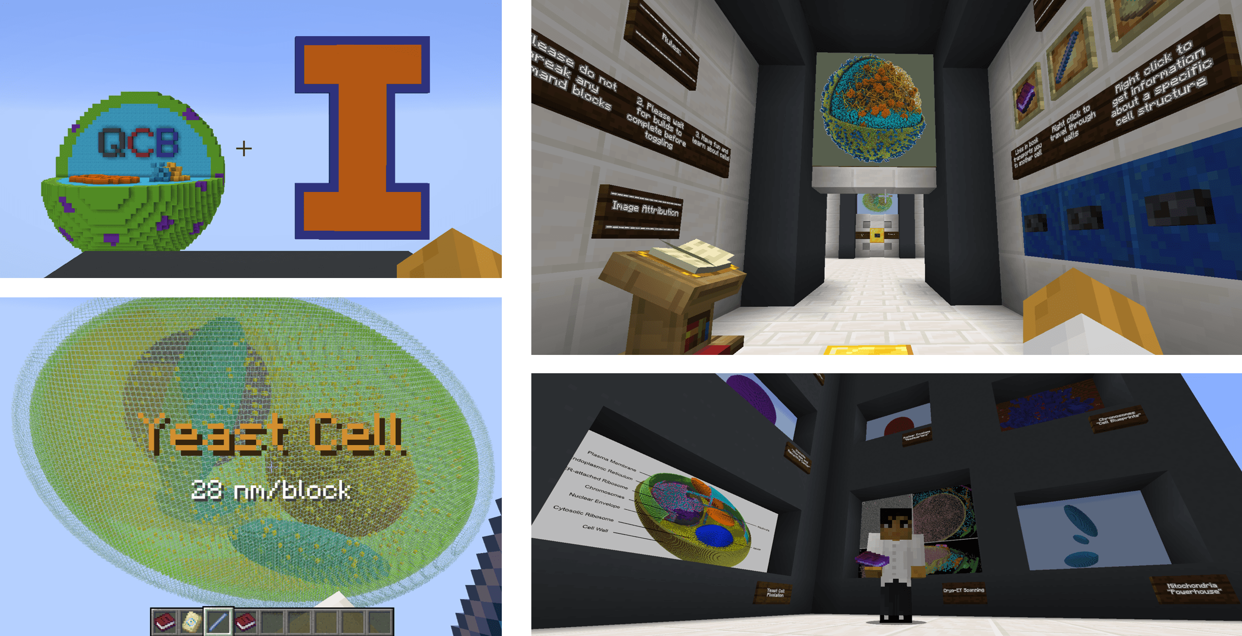 Cell Museum