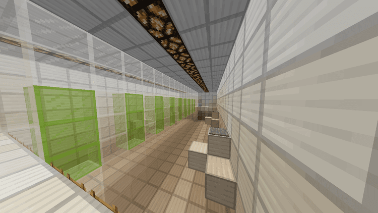 Co-op Madness - Minecraft Map