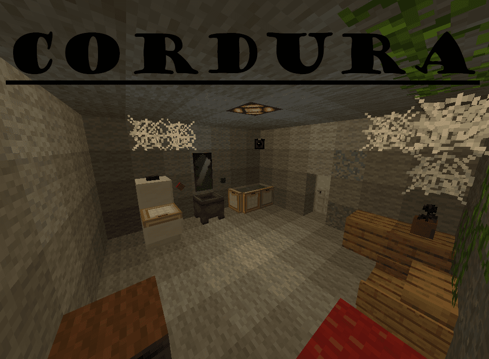 Cordura