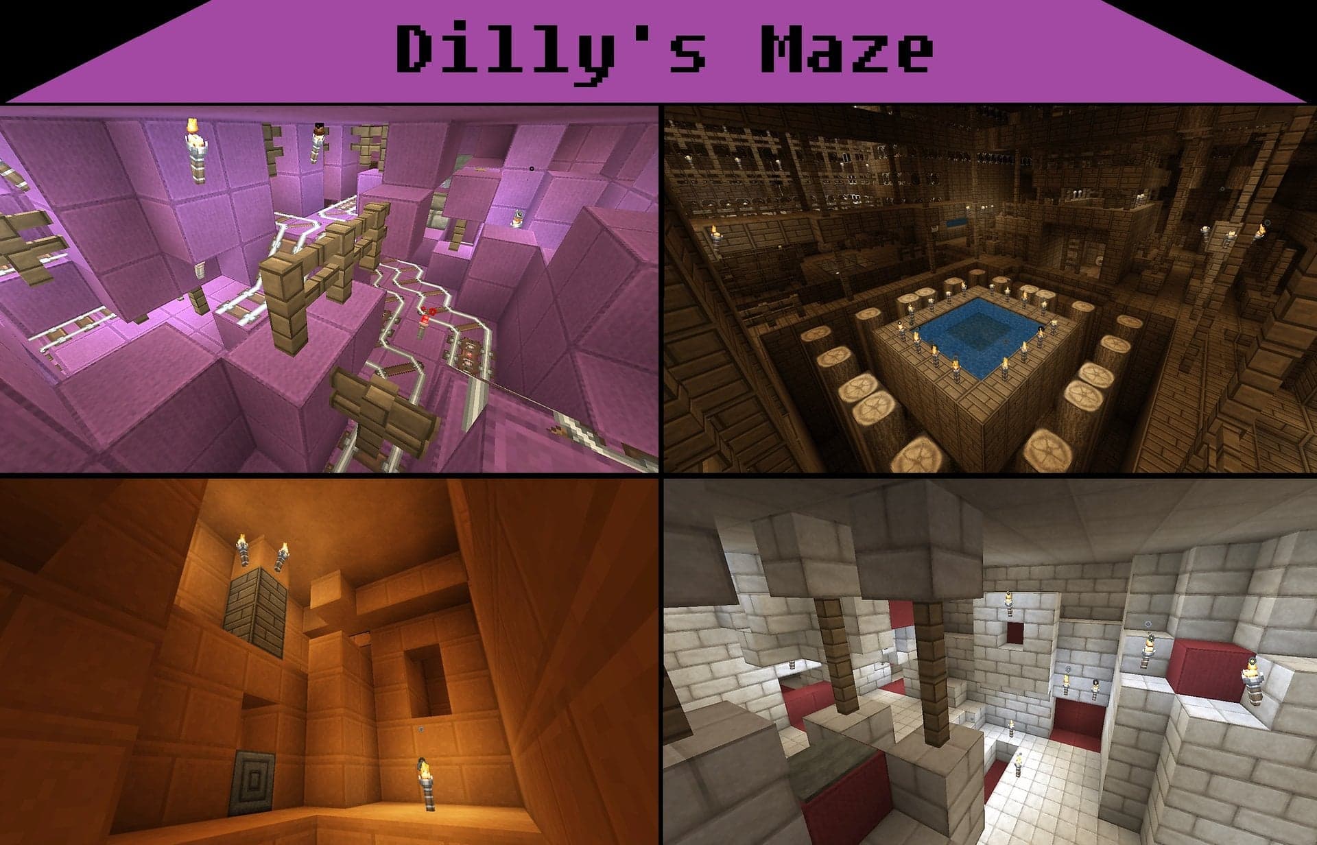 Dilly's Maze: An Adventurous Labyrinth
