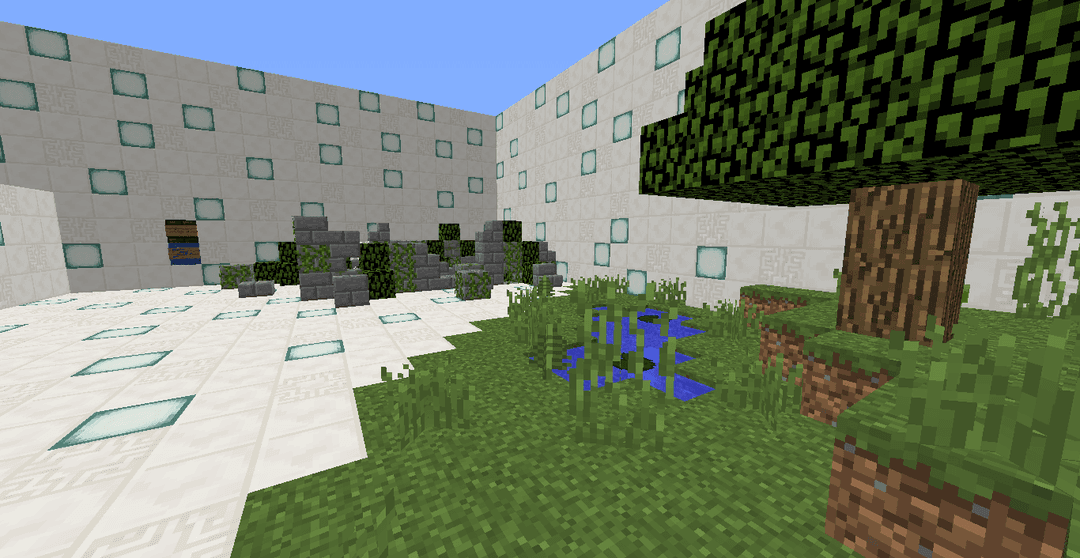 Find the Solution - Minecraft Map