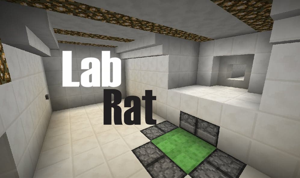 Lab Rat