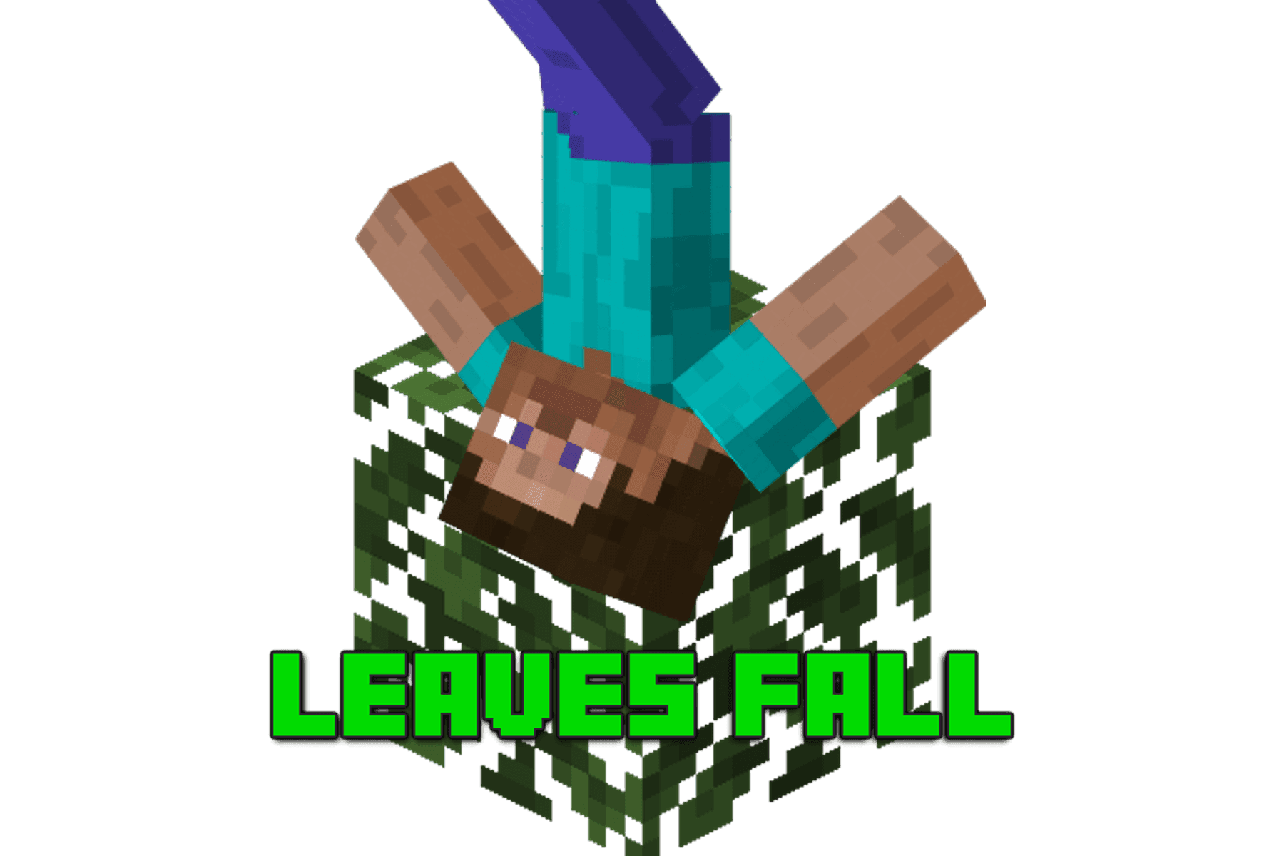 LEAVES FALL