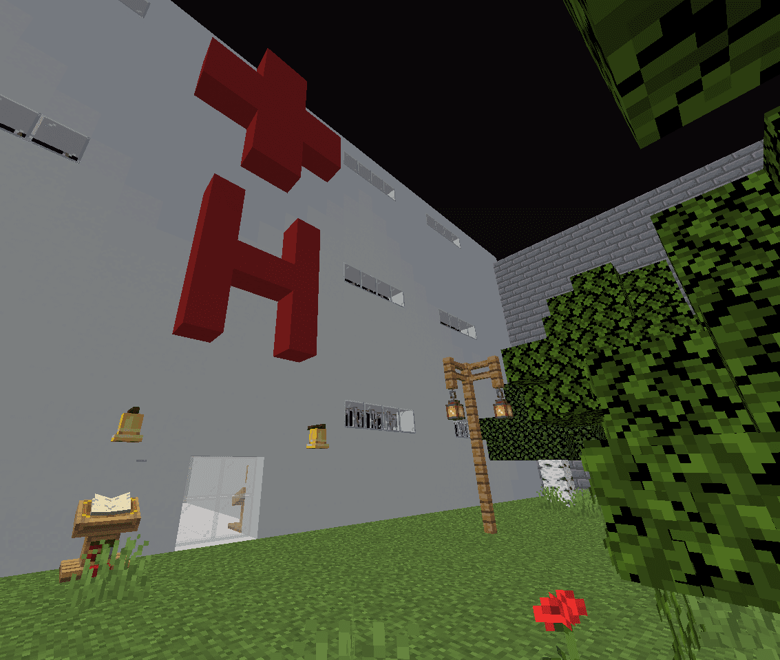 Lost in the Woods: The Hospital