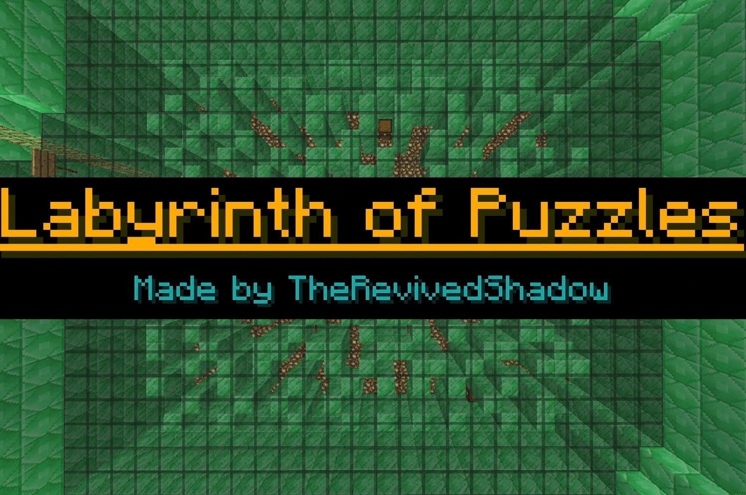 The Labyrinth of Puzzles