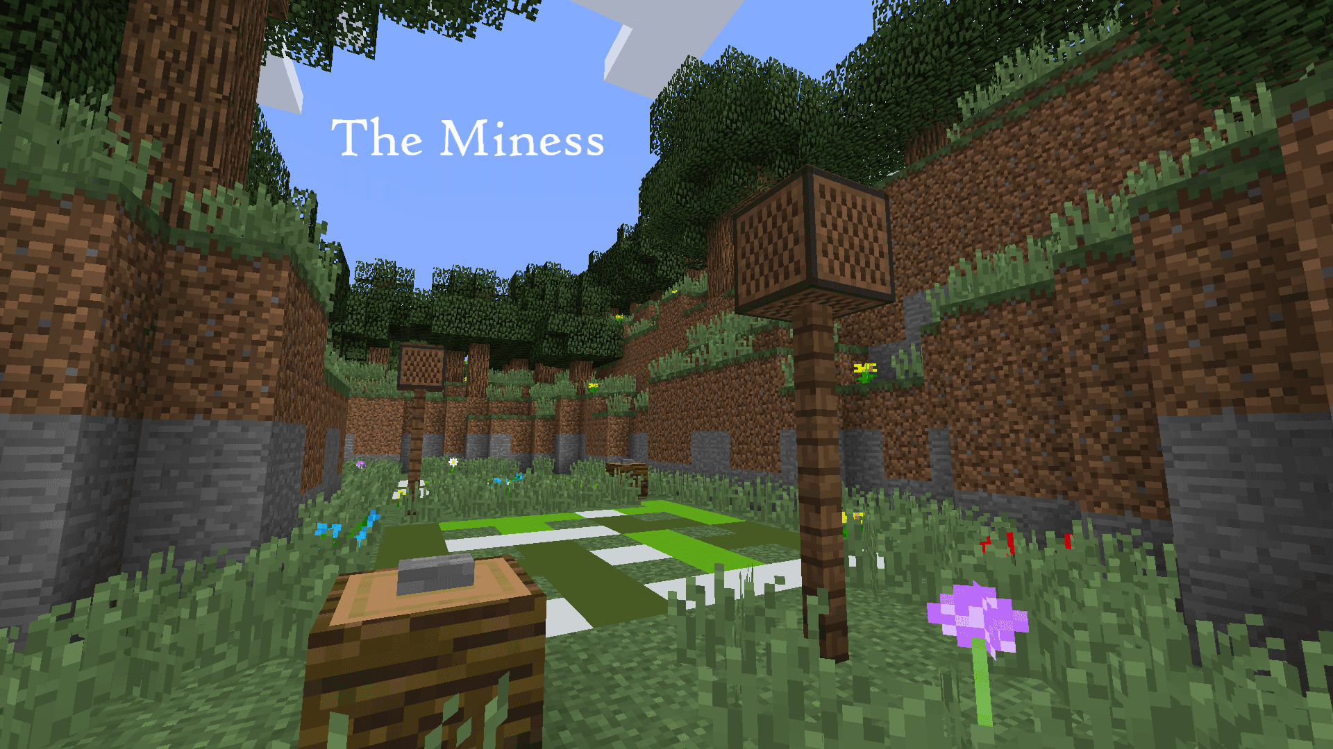 The Miness
