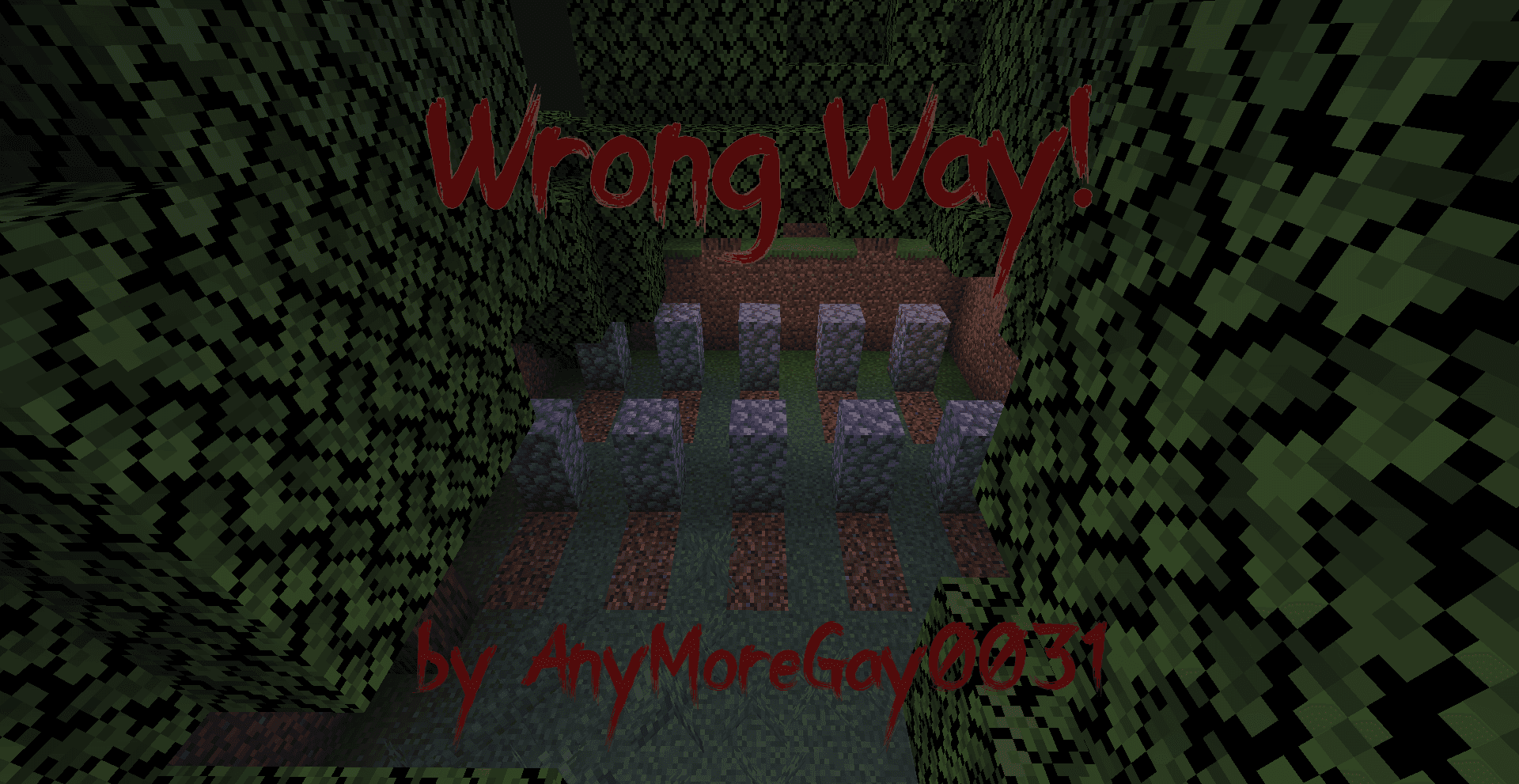 Wrong Way