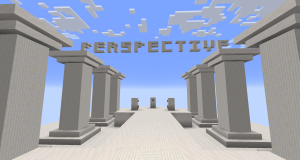 Perspective