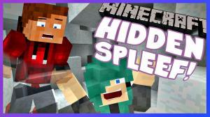 Hidden Spleef