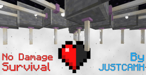 No Damage Survival