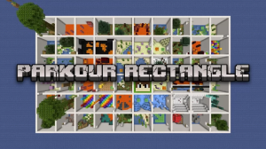 Parkour Rectangle